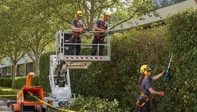 Milwaukee, WI shrub removal crew clearing overgrown shrubs for a tidy yard cleanup